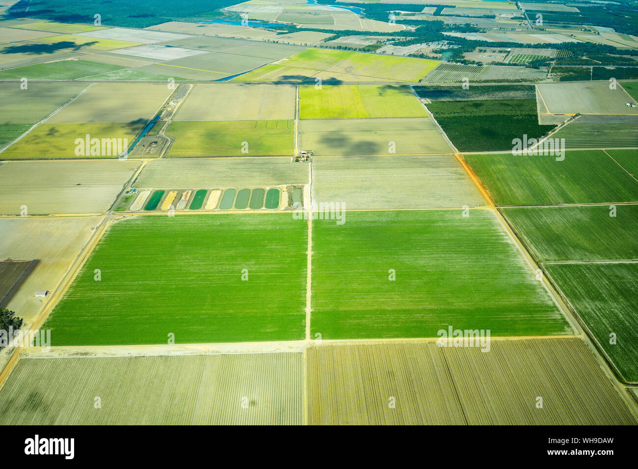 Aerial view of cultivated green fields in Queensland, Australia Stock Photo