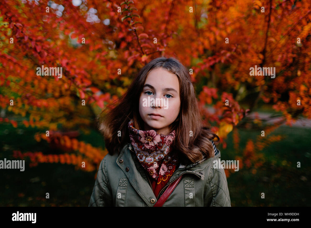 Portrait of young girl in a park, autumn tree in the background Stock ...
