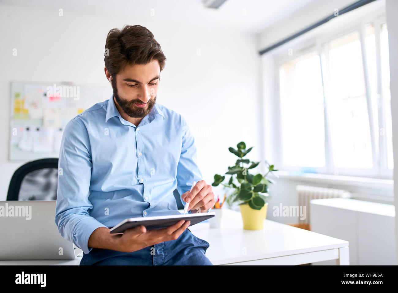 Businessman using a digital tablet in his office Stock Photo - Alamy