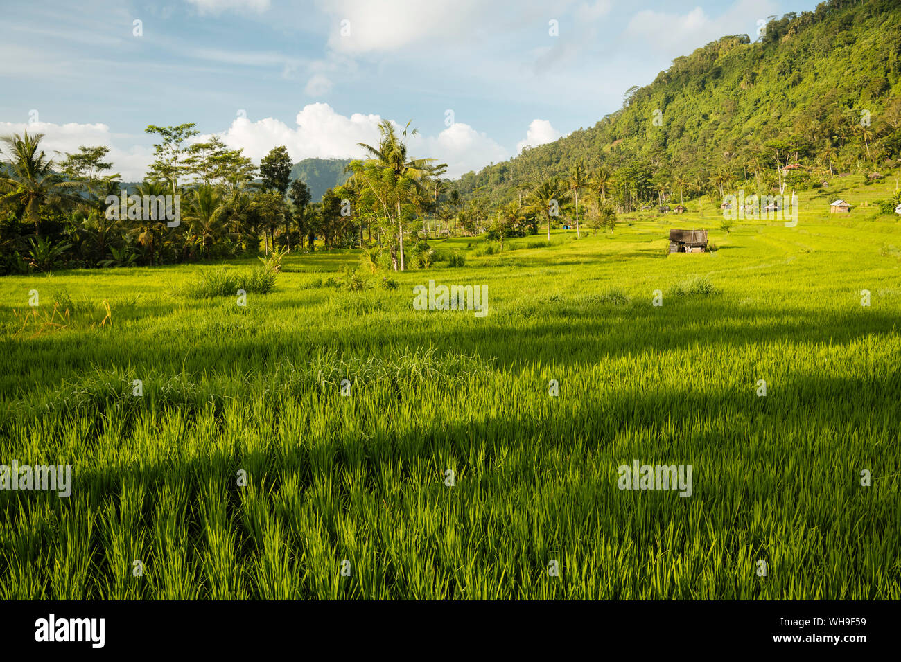 Landscape near Sidemen, Bali, Indonesia, Southeast Asia, Asia Stock Photo