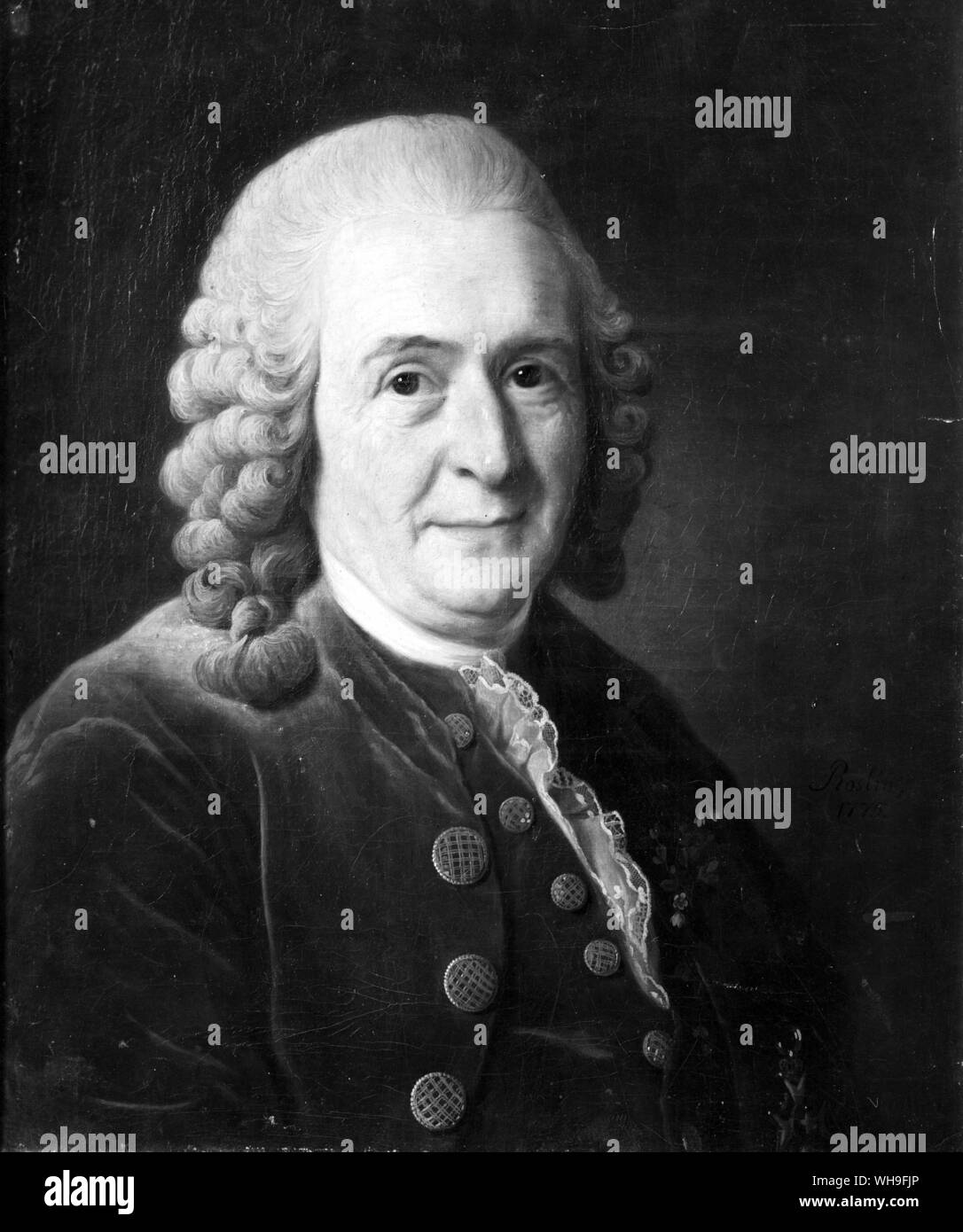 Karl von Linne (1707-78), professor and botanist. Stock Photo