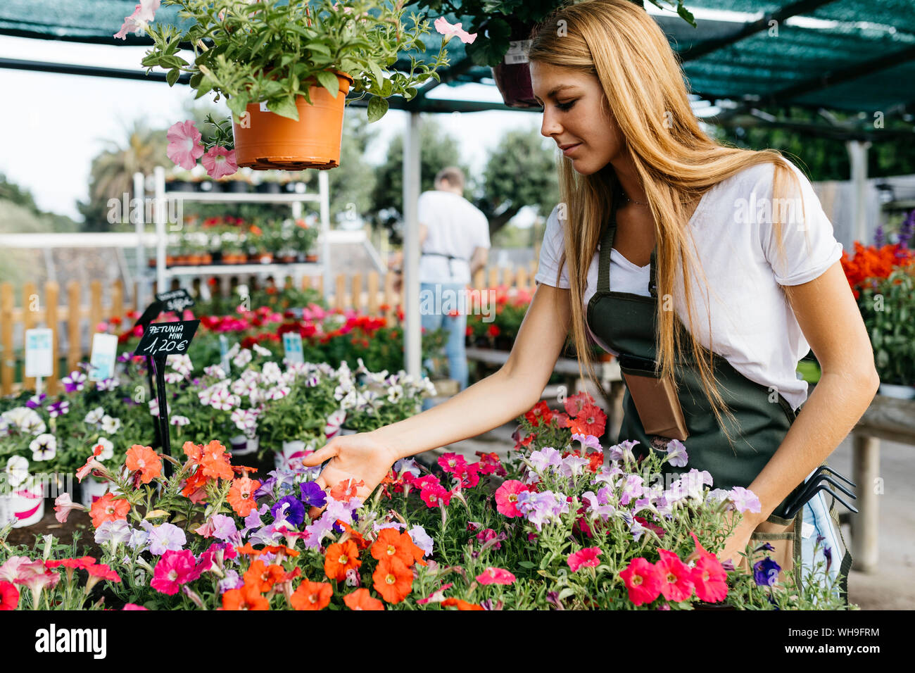 Female worker in a garden center caring for flowers Stock Photo