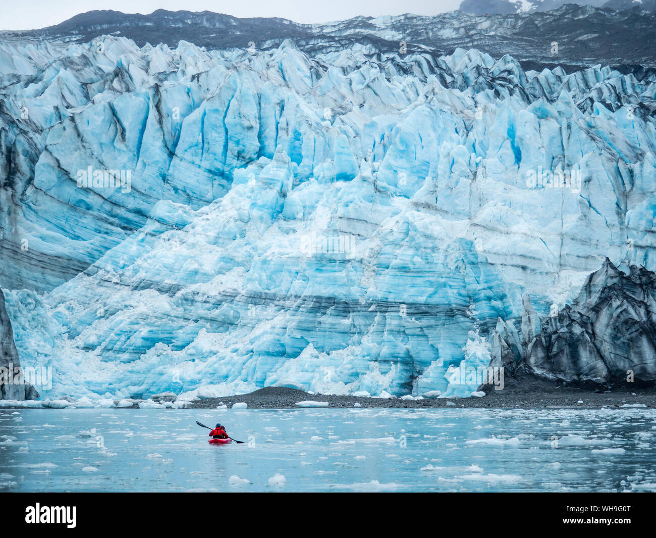A kayaker paddling in front of Lamplugh Glacier, Glacier Bay National Park and Preserve, UNESCO World Heritage Site, Alaska, United States of America Stock Photo