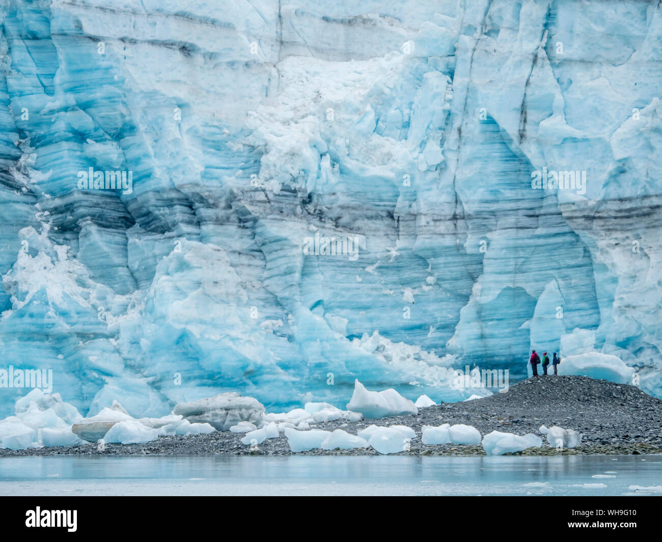 Hikers in front of Lamplugh Glacier, Glacier Bay National Park and Preserve, UNESCO World Heritage Site, Alaska, United States of America Stock Photo