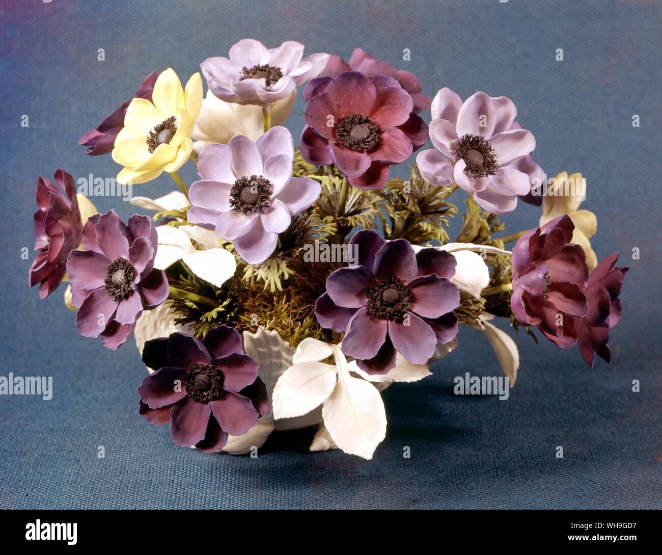 Royal Worcester Porcelain  Anemones Stock Photo