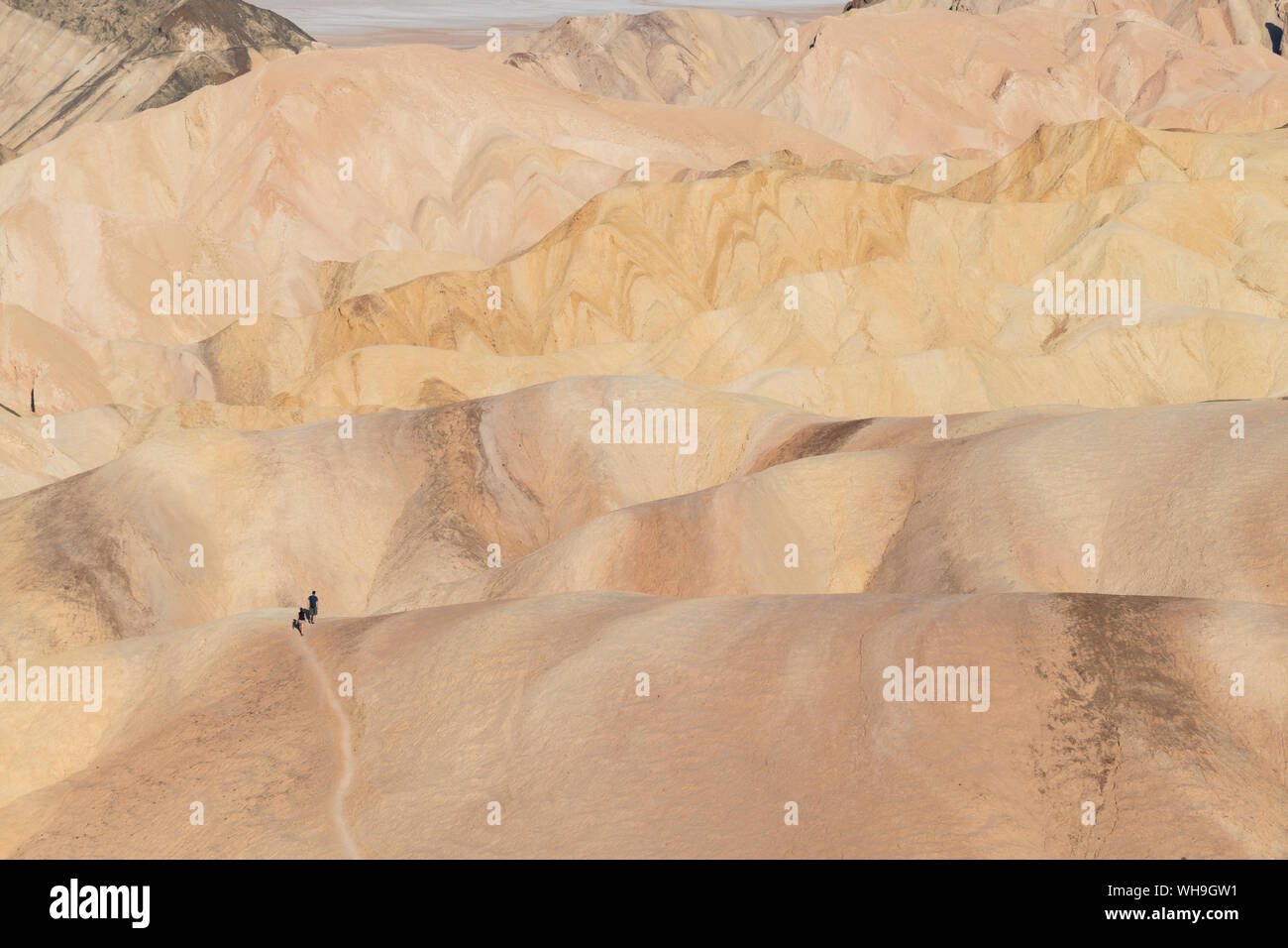 Zabriskie Point in Death Valley National Park, California, United States of America, North America Stock Photo