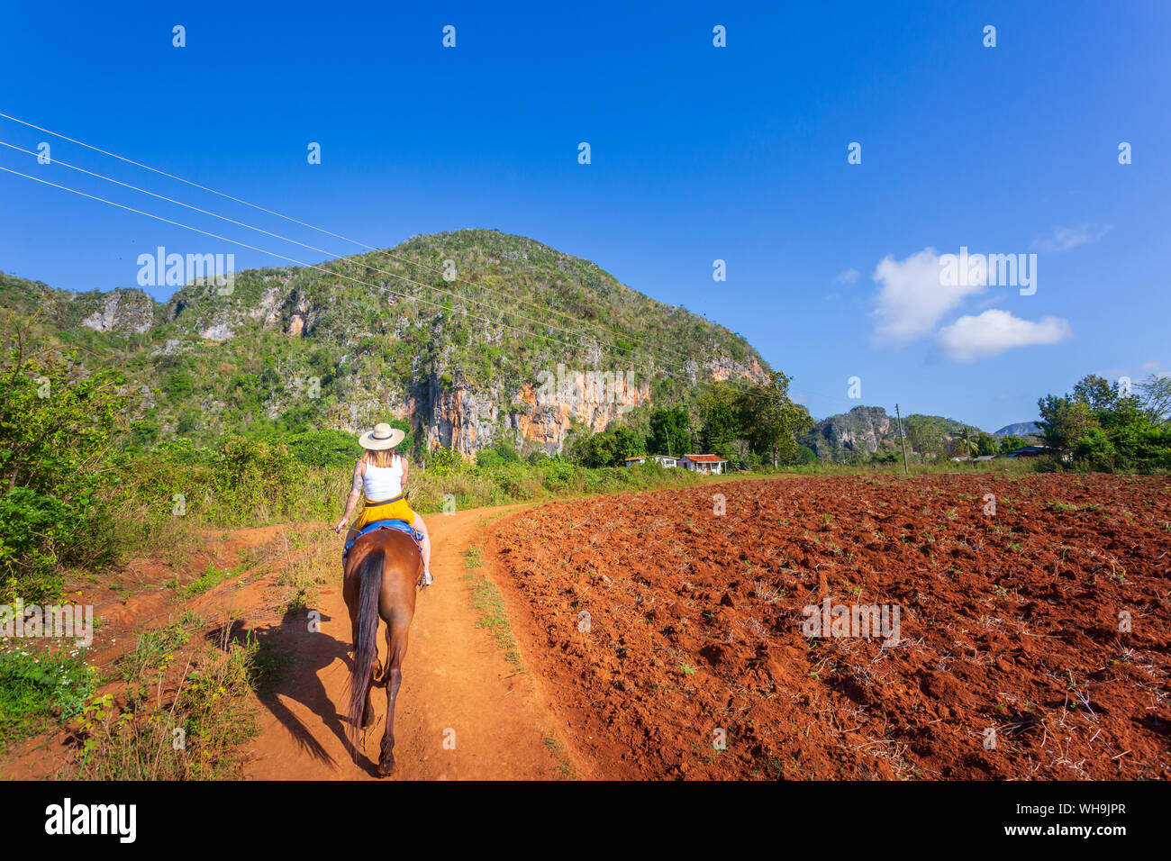 Tourists on a horse tour in Vinales National Park, UNESCO World Heritage Site, Pinar del Rio Province, Cuba, West Indies, Caribbean, Central America Stock Photo