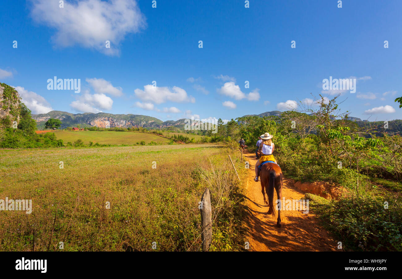 Tourists on a horse tour in Vinales National Park, UNESCO World Heritage Site, Pinar del Rio Province, Cuba, West Indies, Caribbean, Central America Stock Photo