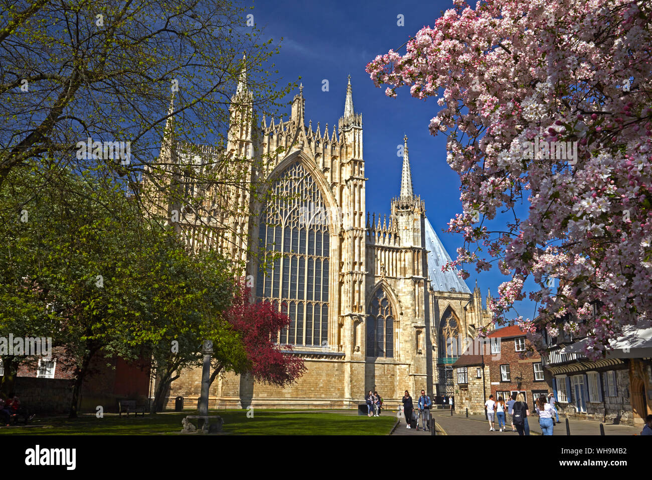 The east front of York Minster seen from St. William's College, York, North Yorkshire, England, United Kingdom, Europe Stock Photo