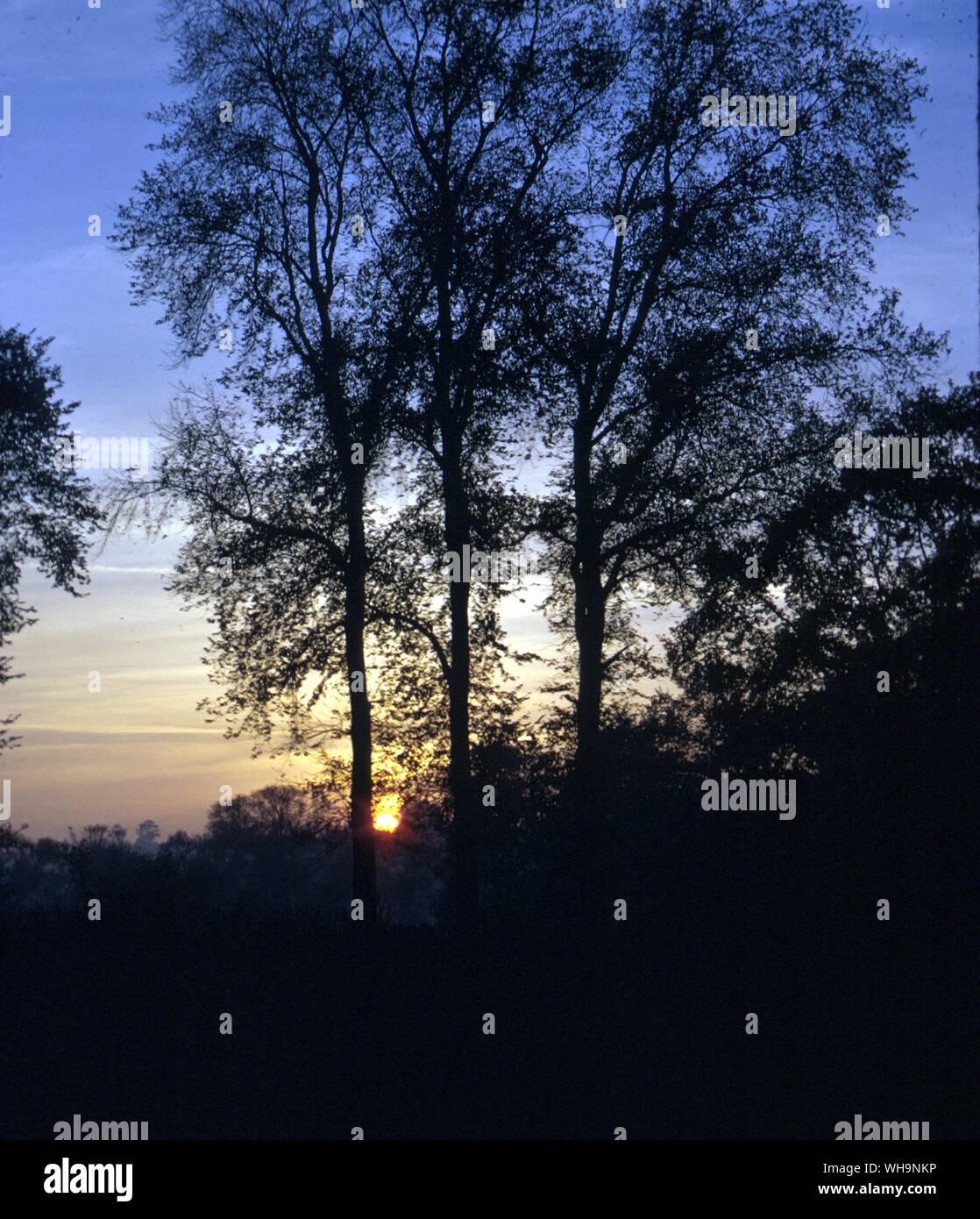 Sunset Stock Photo