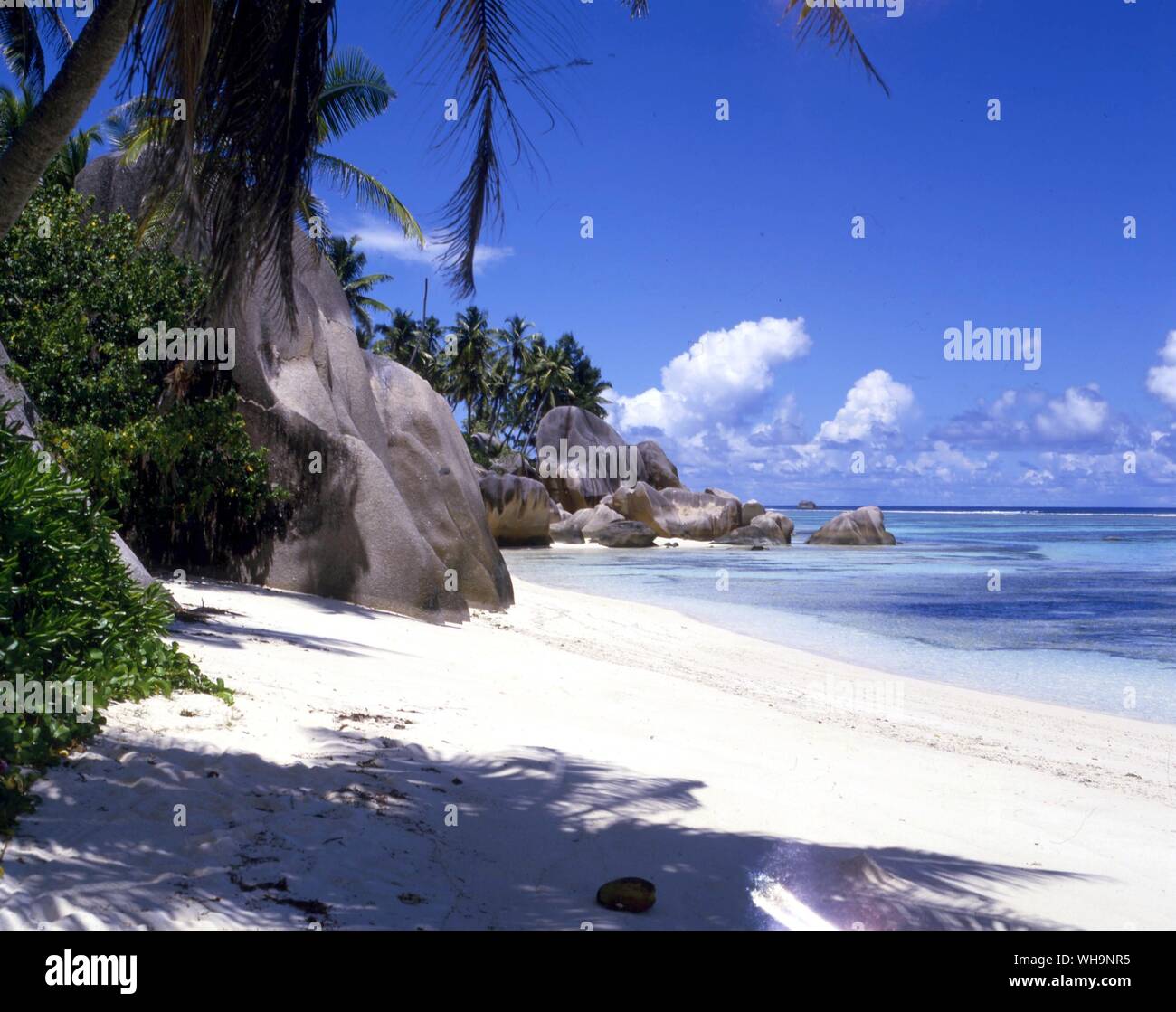 My Image 28