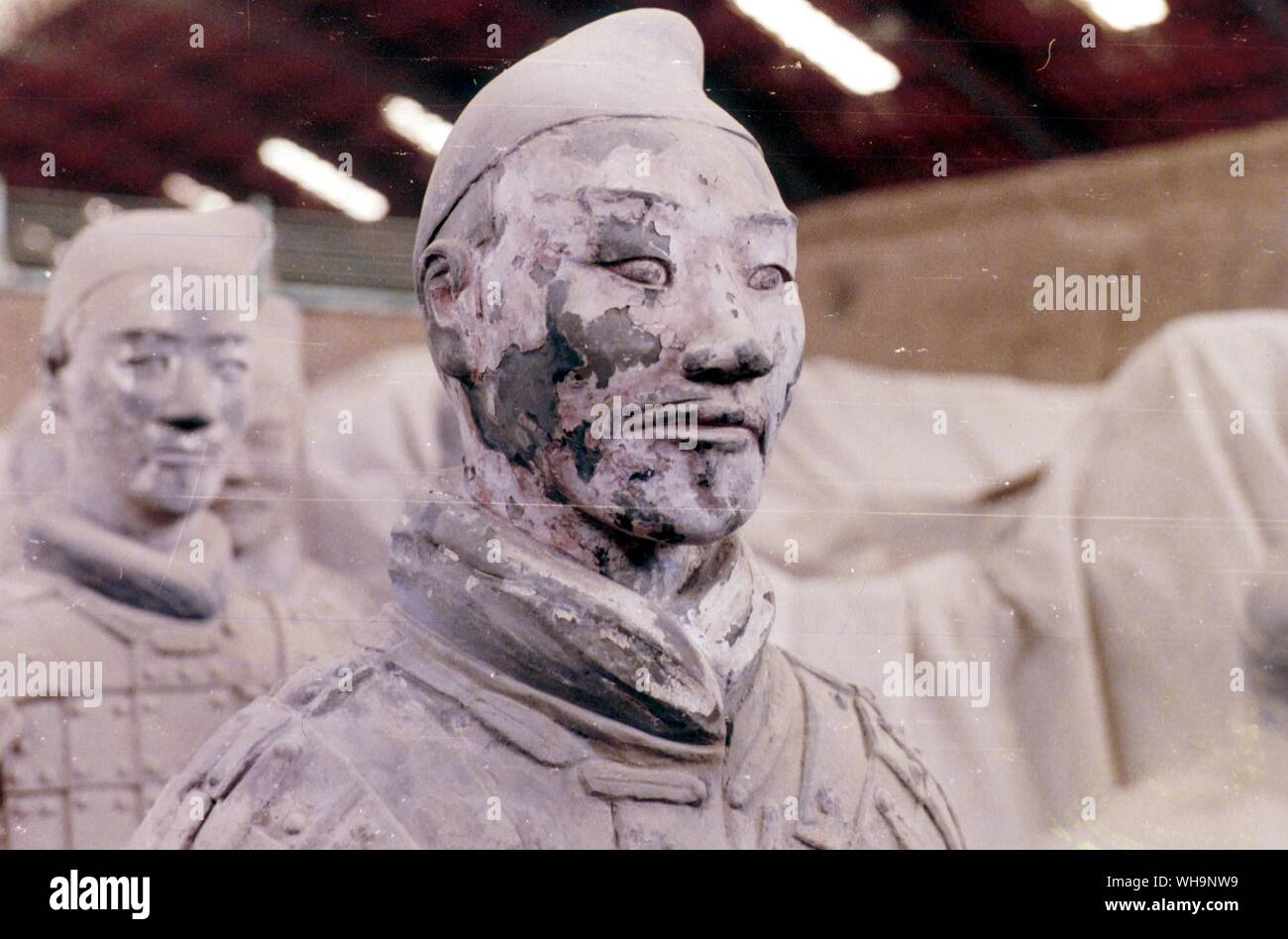 The head has traces of pigment still visbal. when the terracotta army was installed in the subterranean chambers all the soldiers and hores were brightly painted Stock Photo