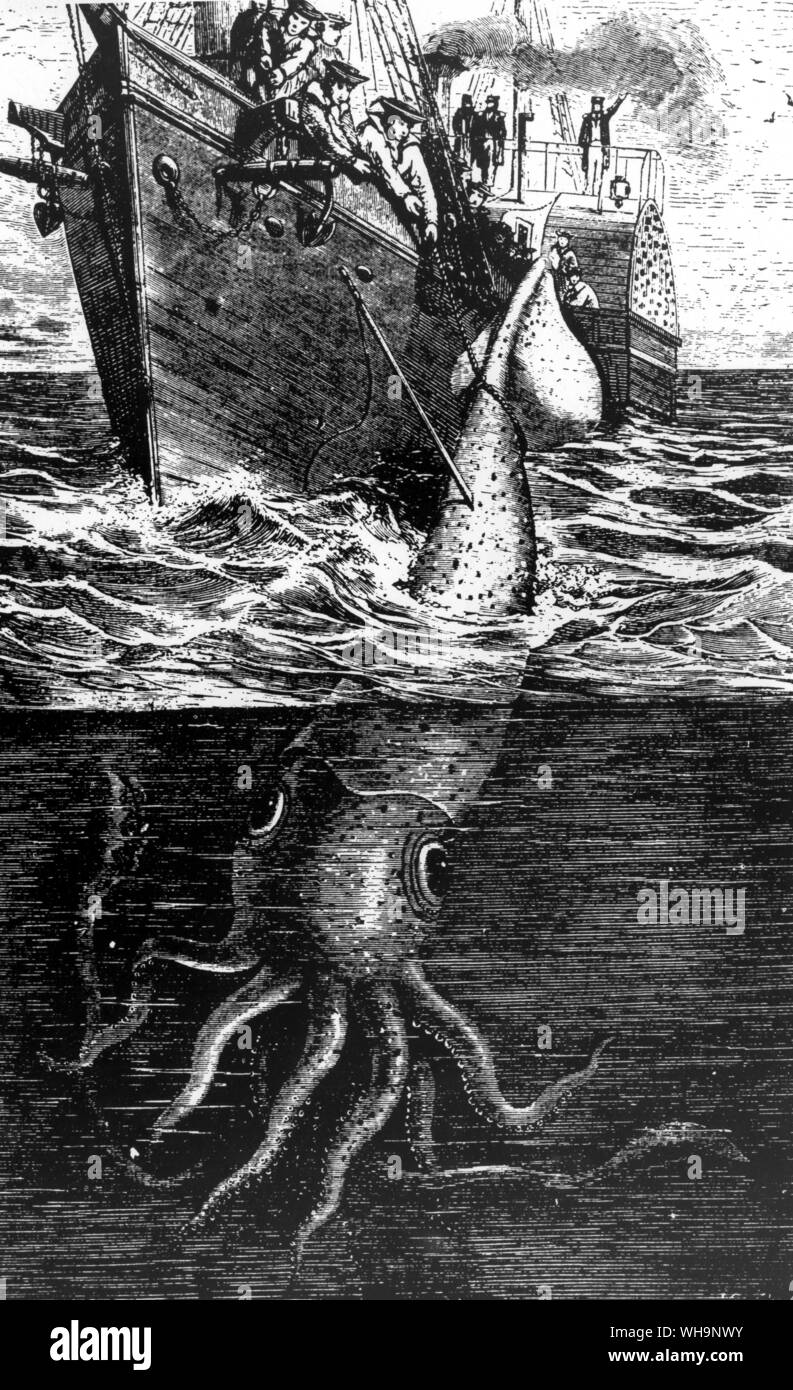 Nightmare voyages: an encounter with a giant squid Stock Photo