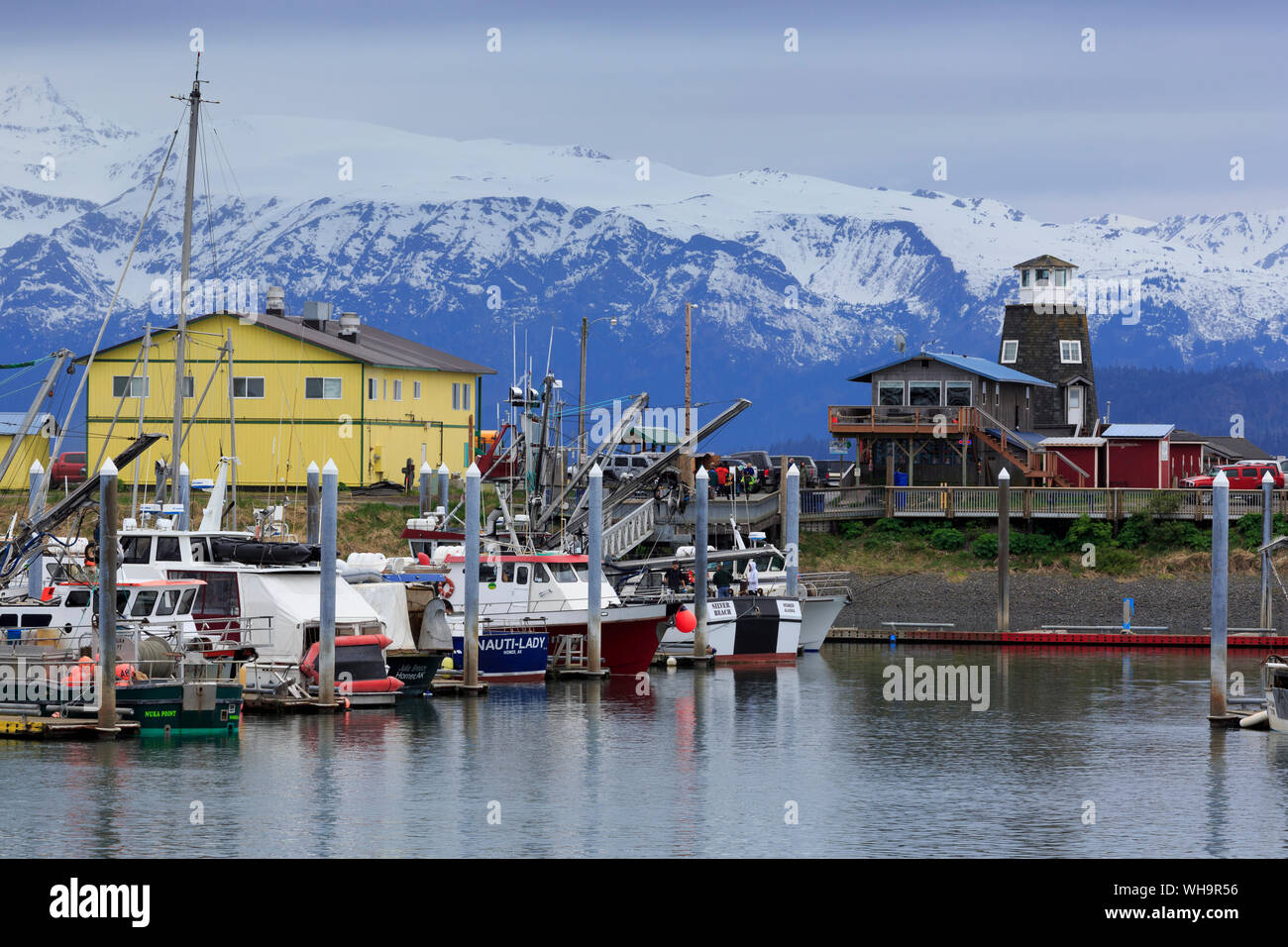 Fishing Boats, Homer, Alaska, United States of America, North America