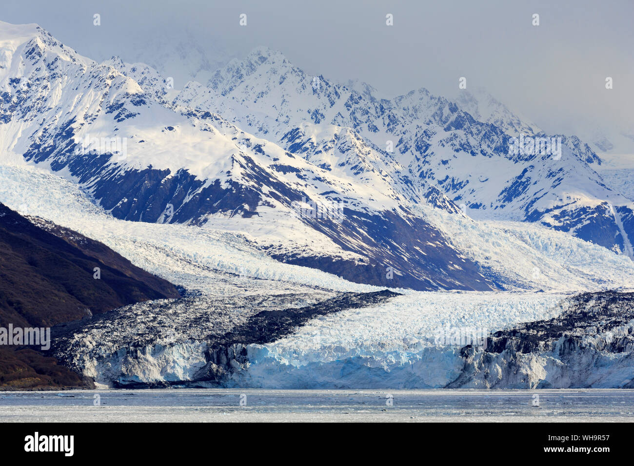 Harvard Glacier in College Fjord, Southeast Alaska, United States of America, North America Stock Photo