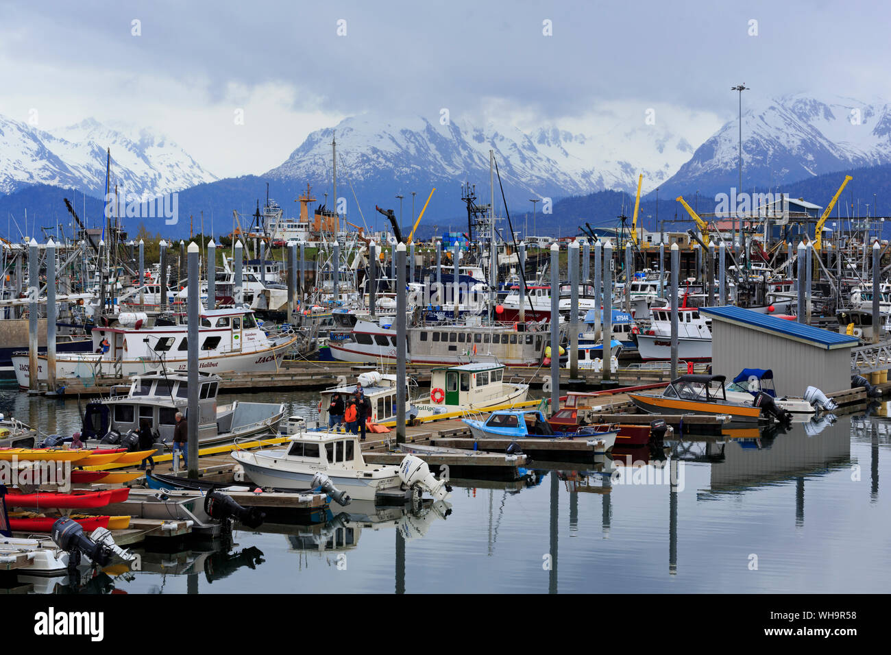 Fishing Boats, Homer, Alaska, United States of America, North America