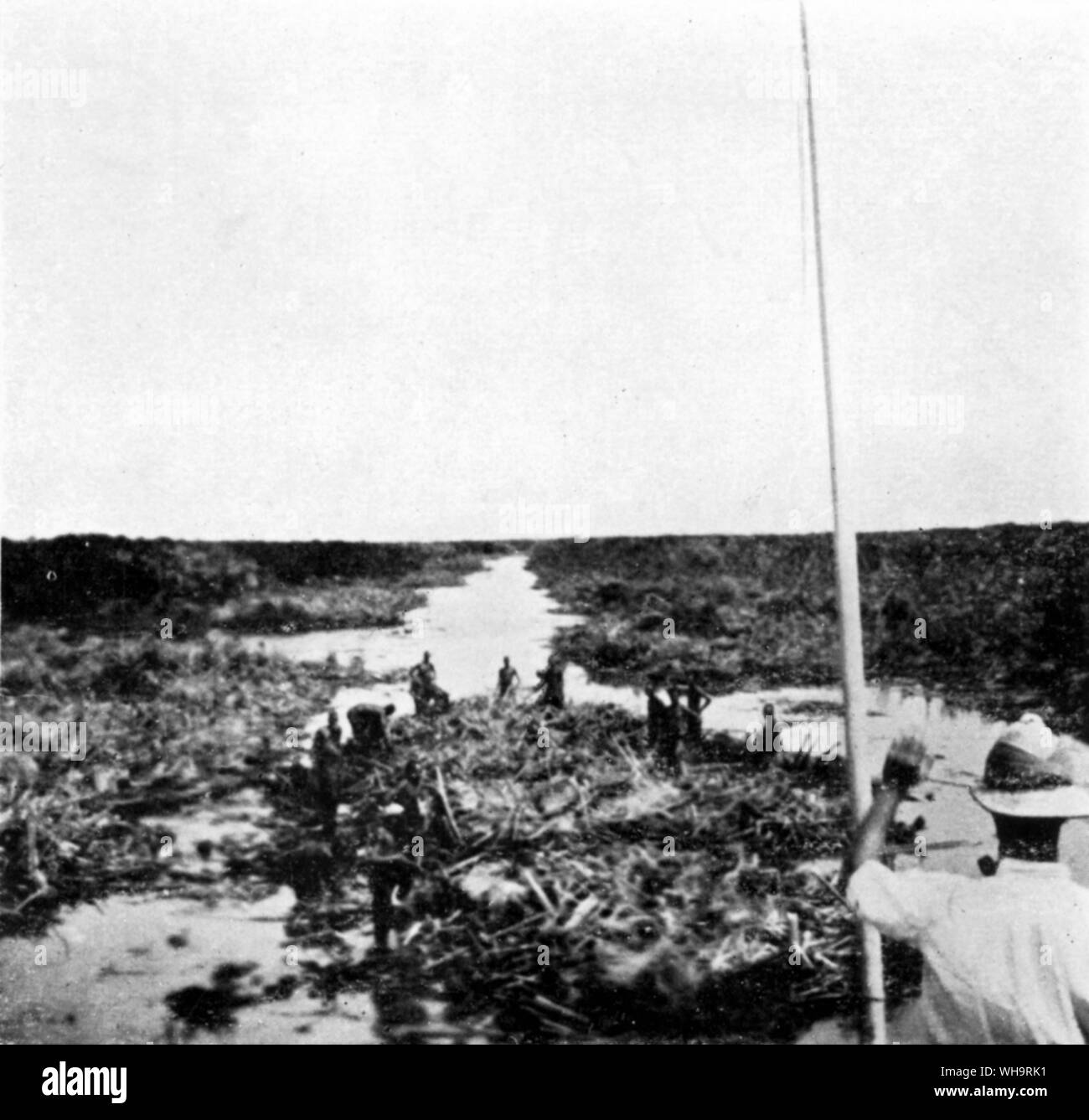 Cutting the Sudd from 'The Nile Quest' by Sir Harry Johnston. Johnston