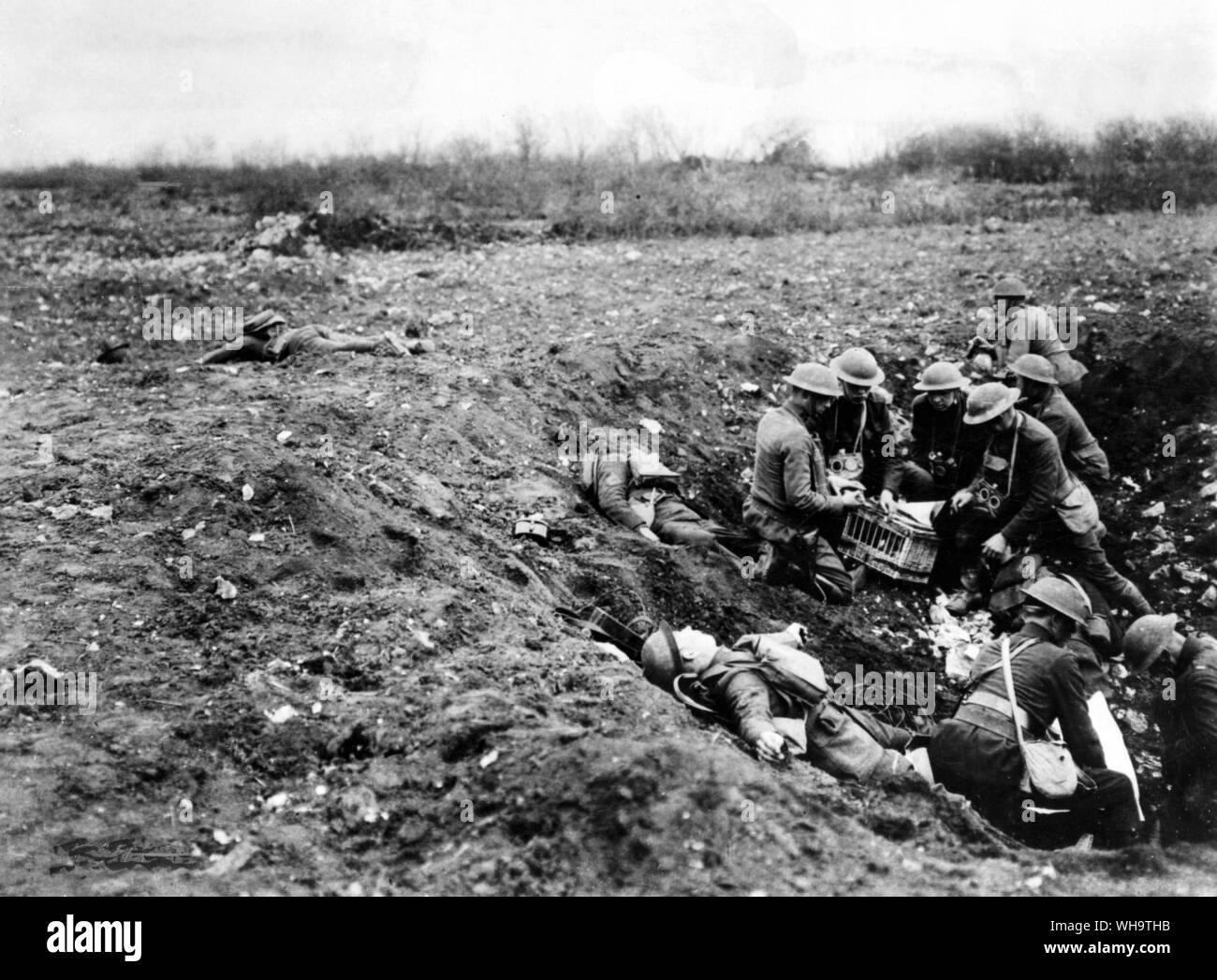 WW1/France: Telephone and pigeon men in shell hole. Telephone lines are broken so messages are being sent by pigeons. Larne, April 1918. Stock Photo