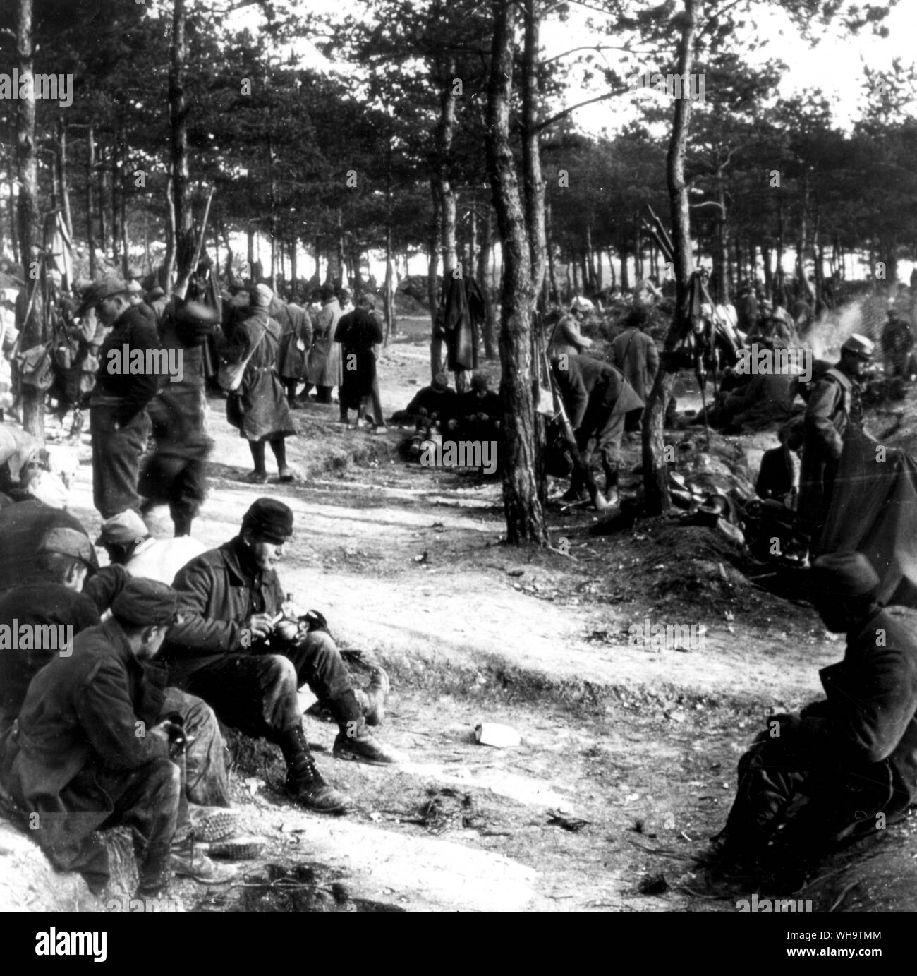 WW1/France: Allied troops rest in a wood. Stock Photo