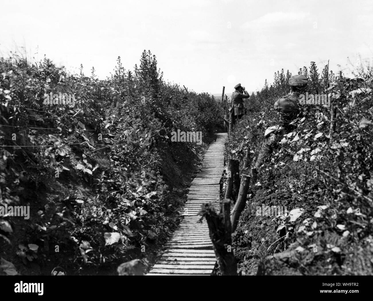 WW1/France: Battle of Albert. British officers observing from a communications trench. July 1916. Stock Photo