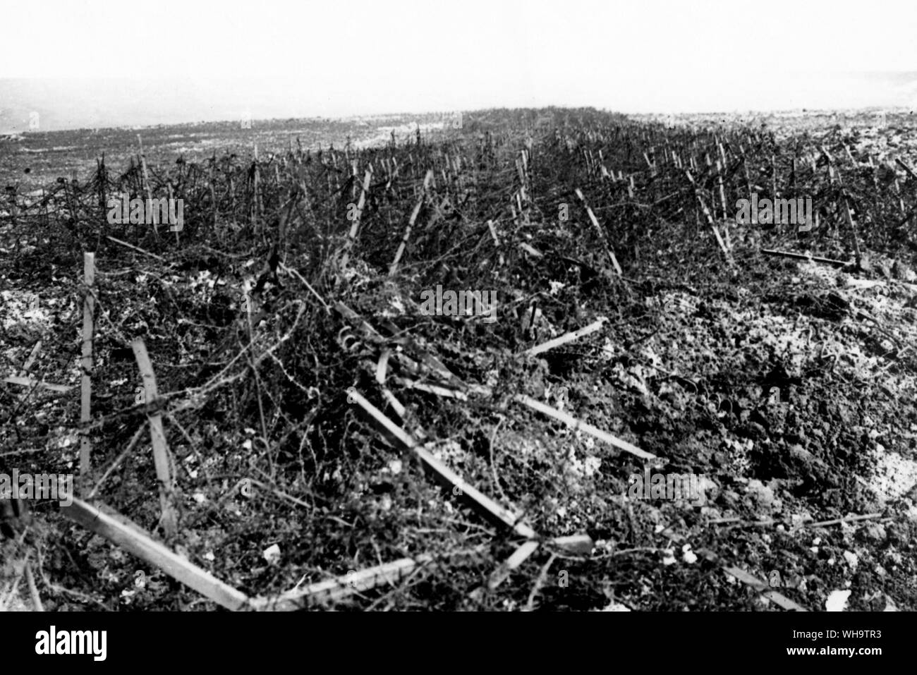 WW1/France: Scene at battle of Arras. Part of the broad wire entanglement in front of the Hindenburg Line, near Heninel, May 1917. Stock Photo