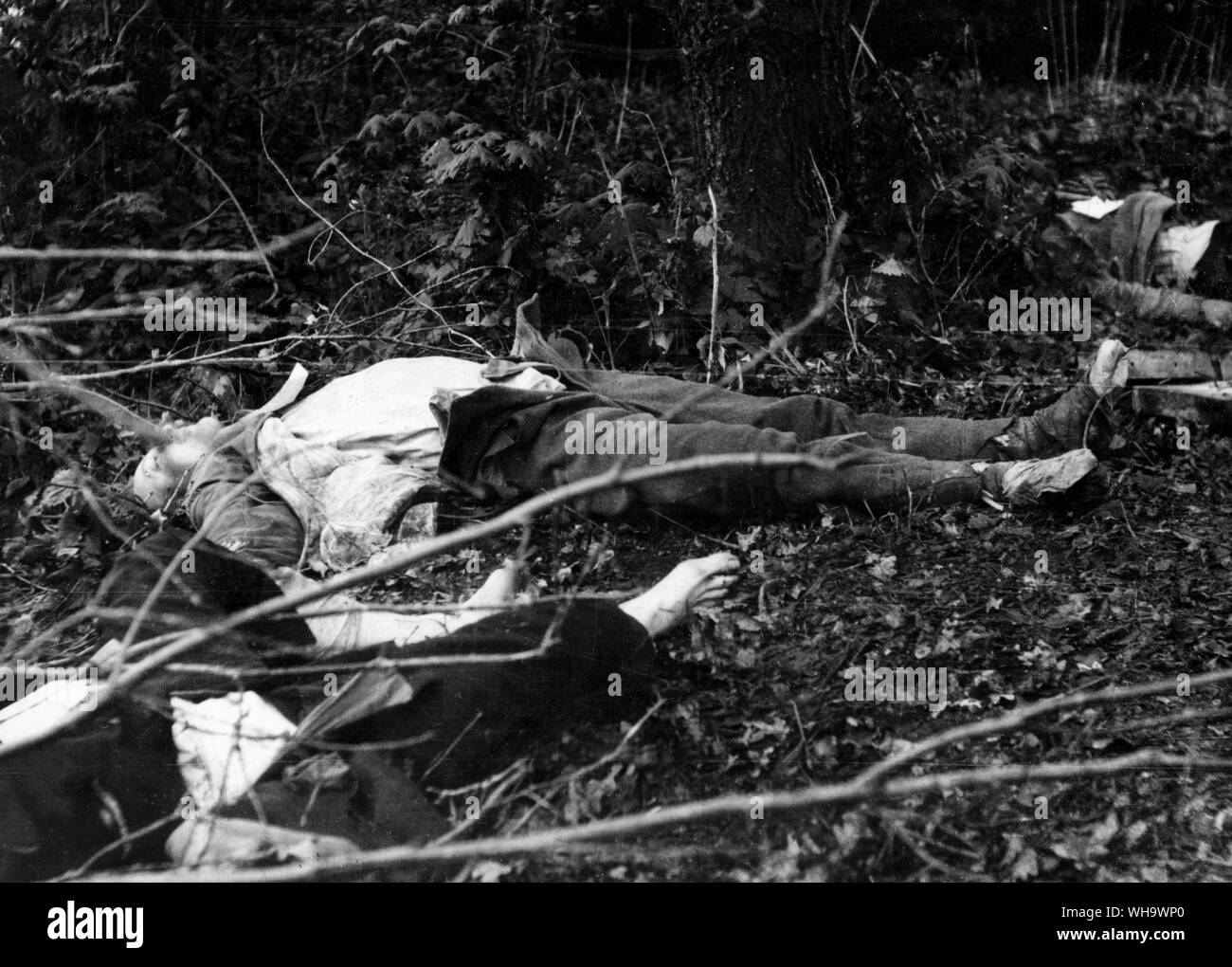 WW1/ The corpses of three Czech communists, Red Army soldiers who had been taken prisoners in the battle of Samara (the present-day town of Ulijanovsk) by Czech legionaries and executed on June 5th 1918 without trial for having fought in the ranks of the Red Army. Stock Photo