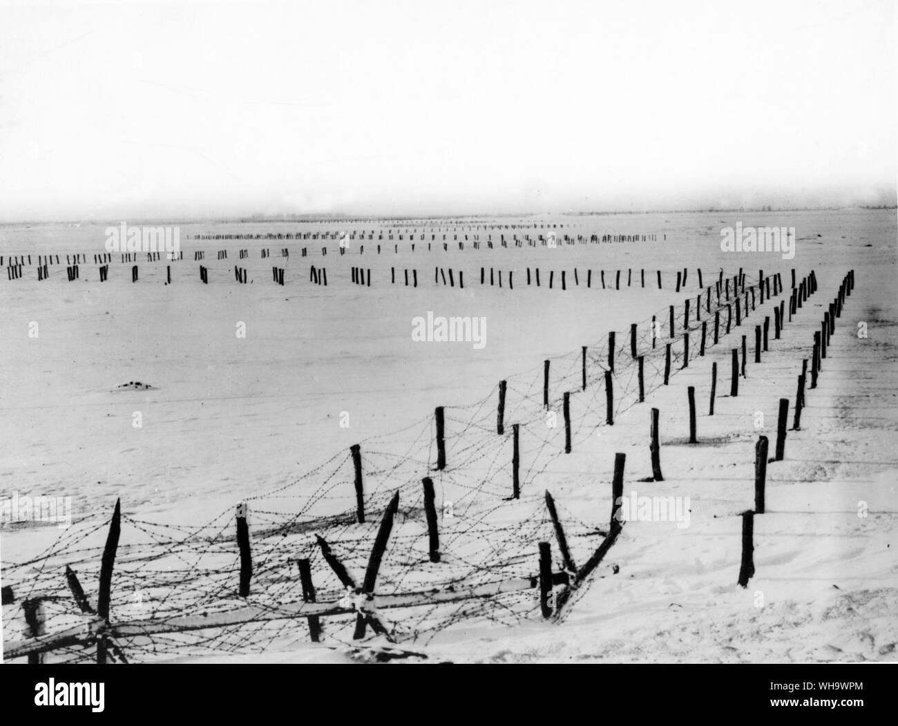 WW1/ View of extensive wire defences in the snow, Rumanian front.. . Romania Stock Photo