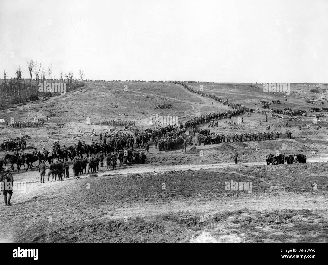 France, WW1: Battle of Flers - Courcelette. Queen's Bayson on the march approaching Hardecourt Wood, Sept. 1916. Stock Photo
