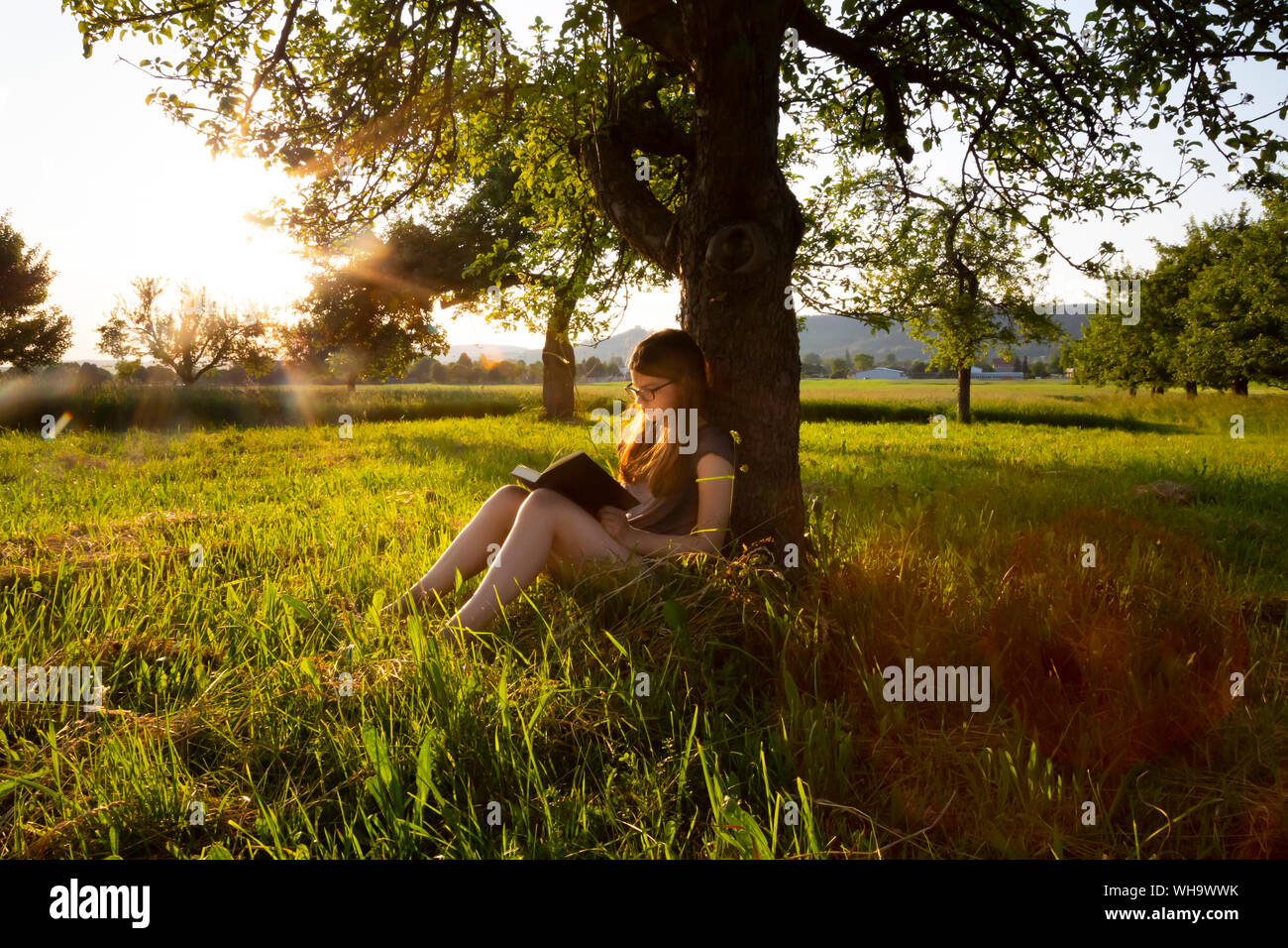 Little girl leaning against tree trunk at sunset reading a book Stock Photo