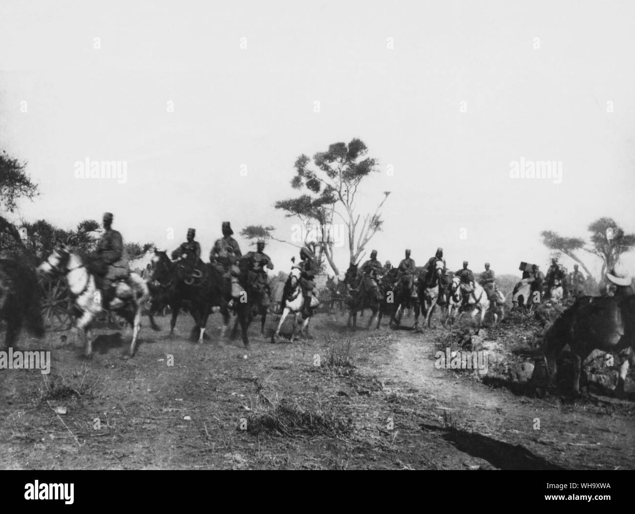 WW1: King African Rifles (Mounted Infantry) concentrating at Longido, February 1916. Stock Photo