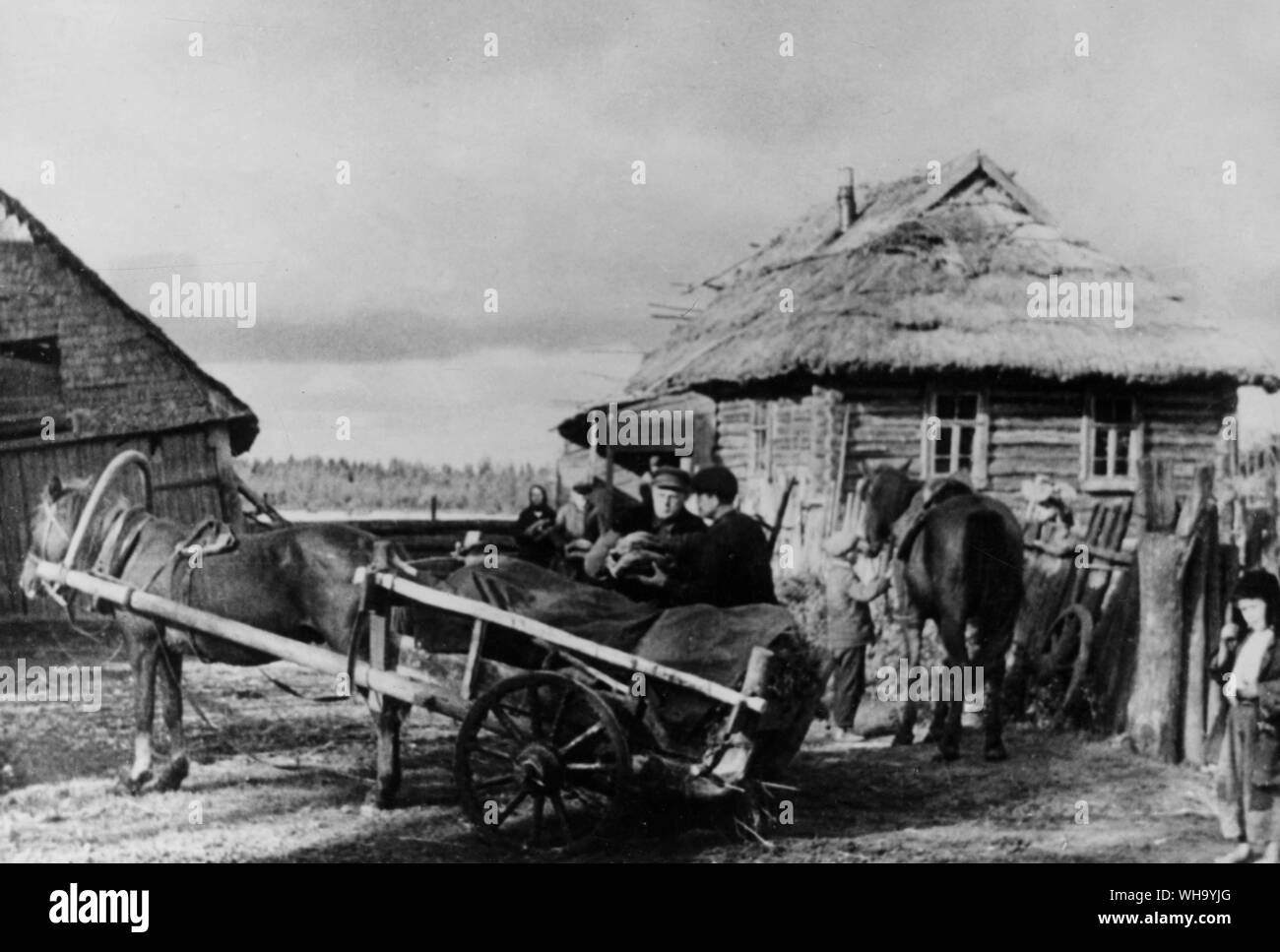 WW2: Russia/ Pskov region, 1941. Peasants provide the partisans with bread and other produces. Stock Photo