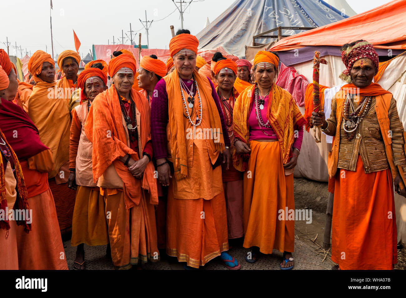 Sadhvi in orange red saree during Allahabad Kumbh Mela, World's largest religious gathering, Allahabad, Uttar Pradesh, India, Asia Stock Photo