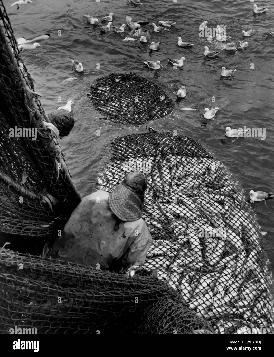 Fishing trawl net hi-res stock photography and images - Page 20 - Alamy