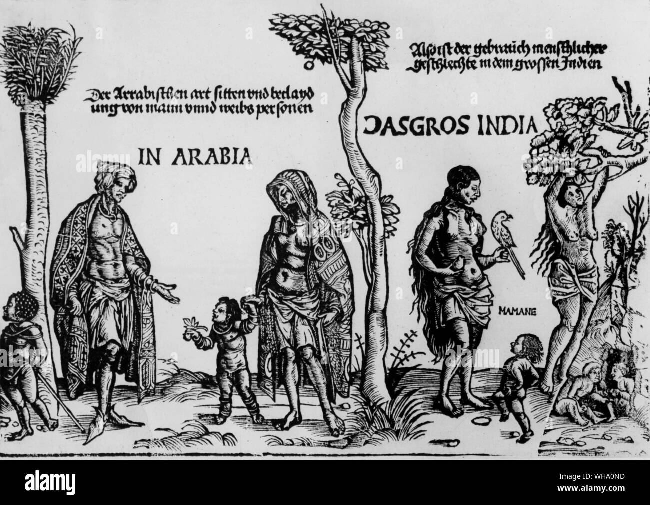 Inhabitants of Portuguese possessions. Burgkmair, 1508. Stock Photo