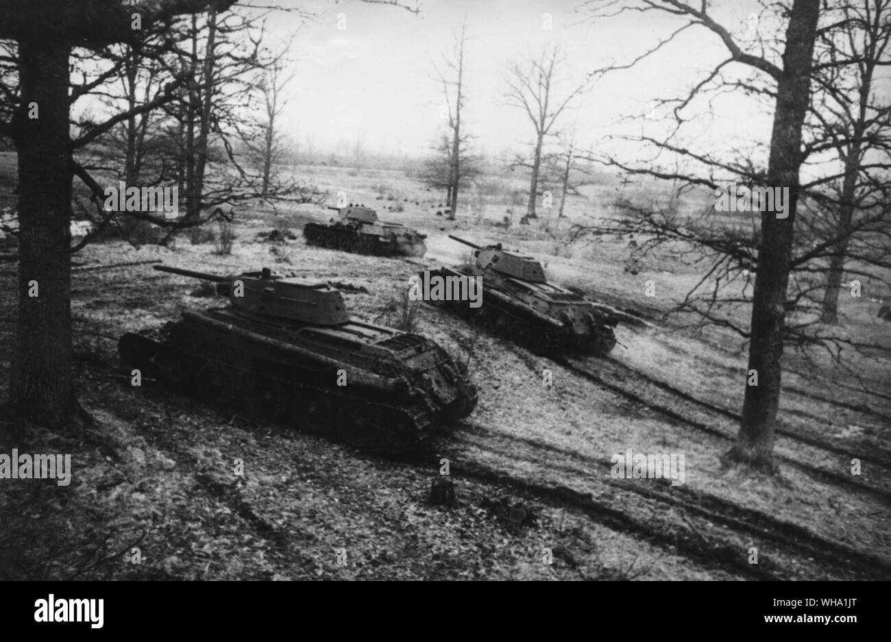 WW2: The Great Patriotic War, 1941-45. Thirs Byelorussian front, 1944. T-34 tanks moving up for the attack. Stock Photo