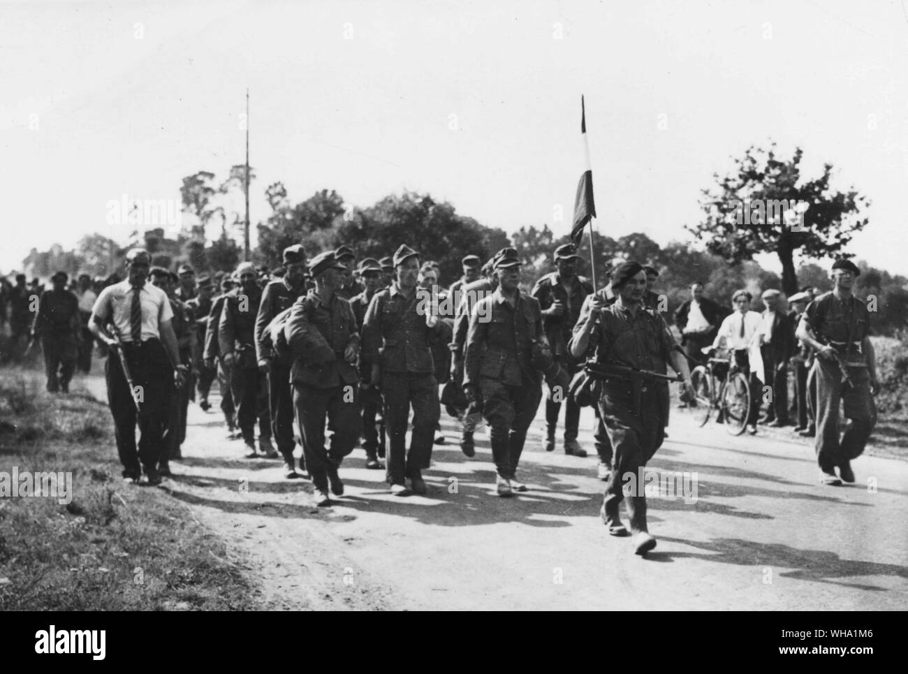 WW2: Large party of Germans captured by members of FFI come in under guard to a prisoner of war camp near Guingamp, Brittany. French officer carrying the flag of Lorraine leads the way. Stock Photo