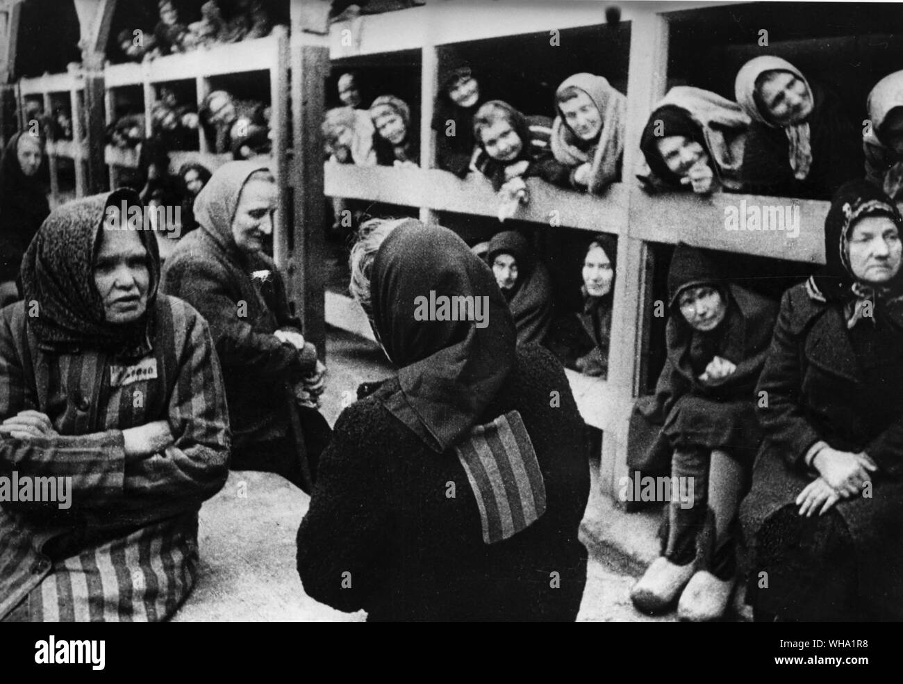 WW2: In one of the women's barracks of the Oswiecim concentration camp, 1945. Auschwitz, Poland. Stock Photo