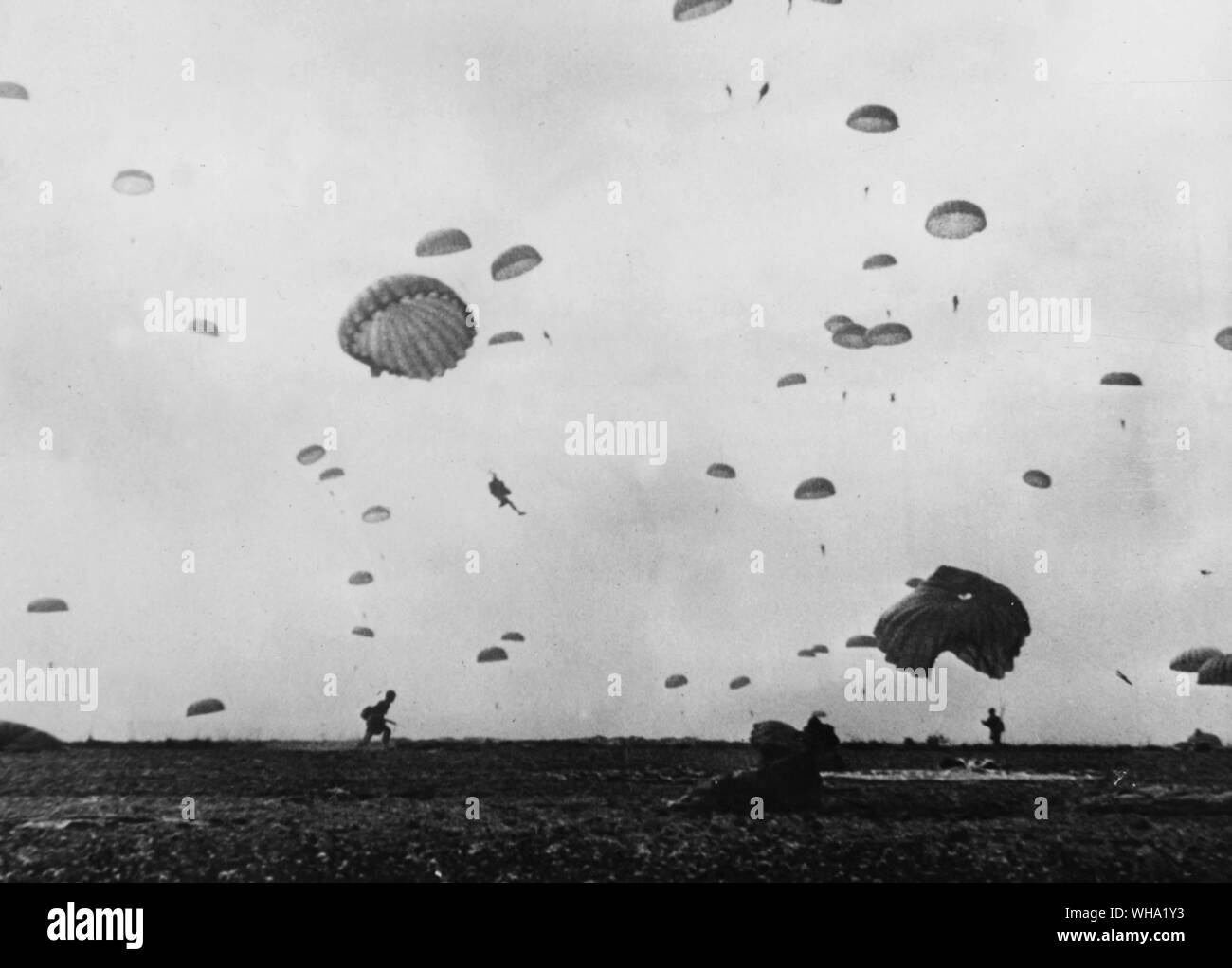 WW2: Allied paratroopers pour from the sky into Holland. 1st Allied Airborne Army. One soldier has gathered his chute and runs towards the assembly area. 17th September 1944. Stock Photo