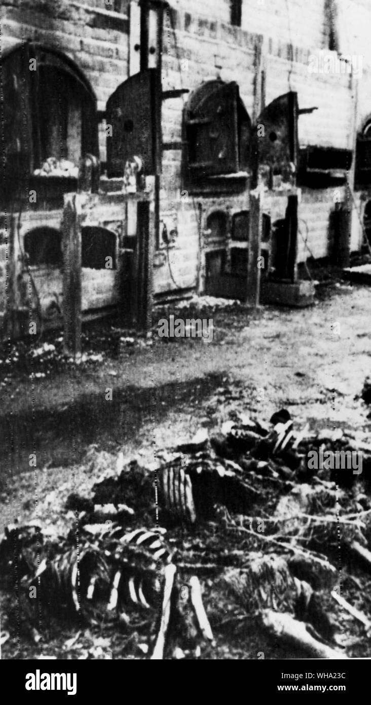 WW2: The cremation ovens in which the Germans daily burnt the bodies of the prisoners they had tortured to death. Heaps of charred human remains lie on the foreground. Lublin Concentration Camp, where people of all nationalities were imprisoned by the Nazis. Stock Photo