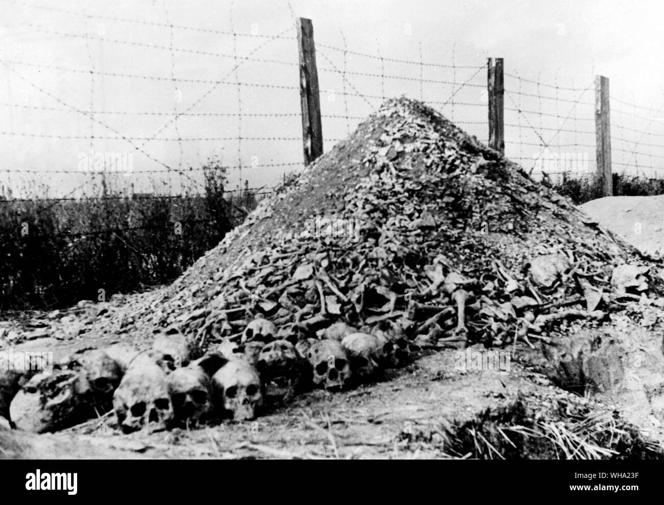 WW2: Great Patriotic War, 1941-45. The ashes and bones of over 200,000 innocent people, tortured and burned in the ovens of the Maidanek death camp. Concentration camp. Stock Photo