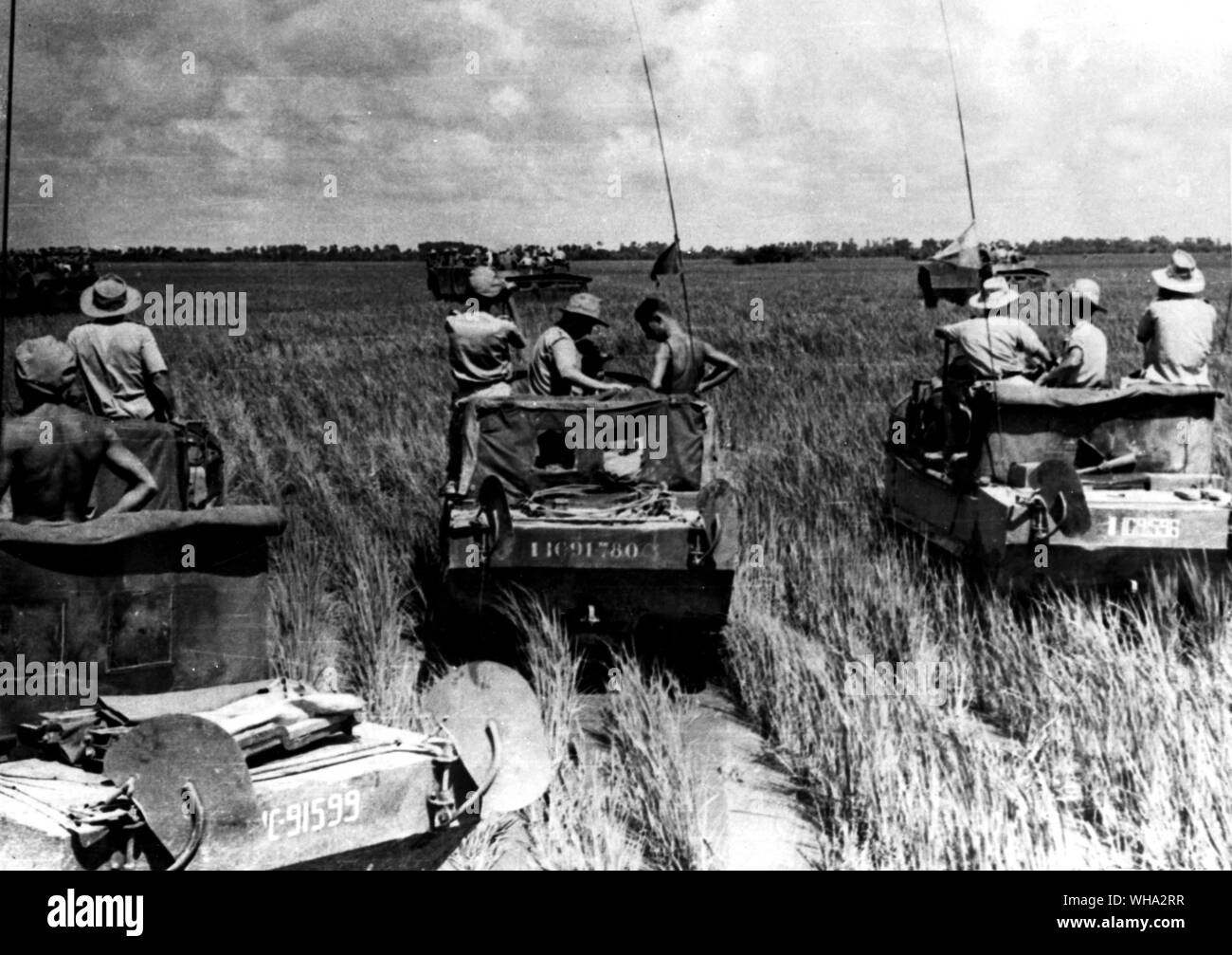 31st Feb 1951: Foreign Legion vehicles use crabs - amphibious vehicles - in operations against Vietminh forces in the marshes south of Saigon. Stock Photo
