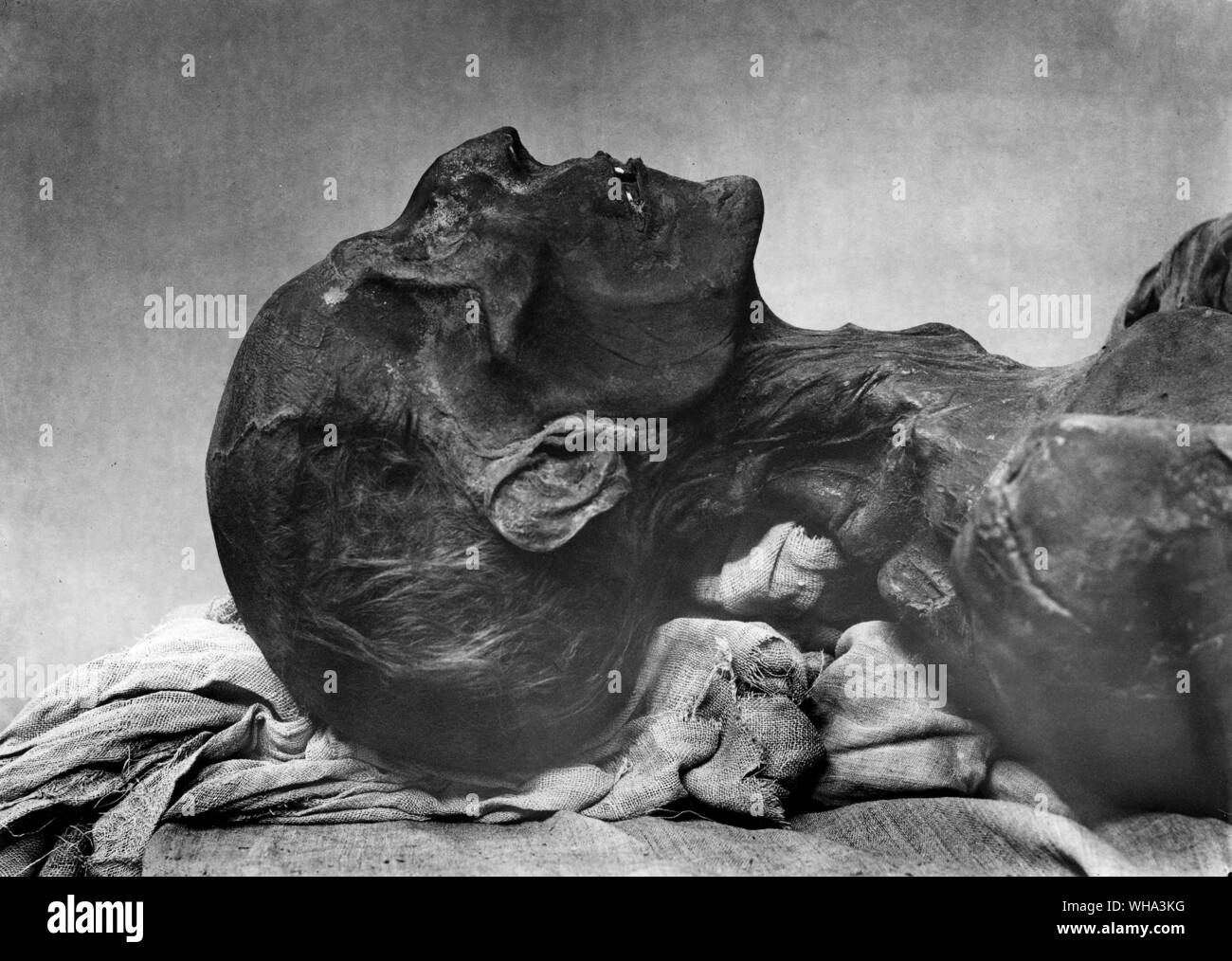 Egypt: The mummified body of King Ramses II (XIX dynasty). New Kingdom 1290-12224 B.C. (Rameses?) Stock Photo