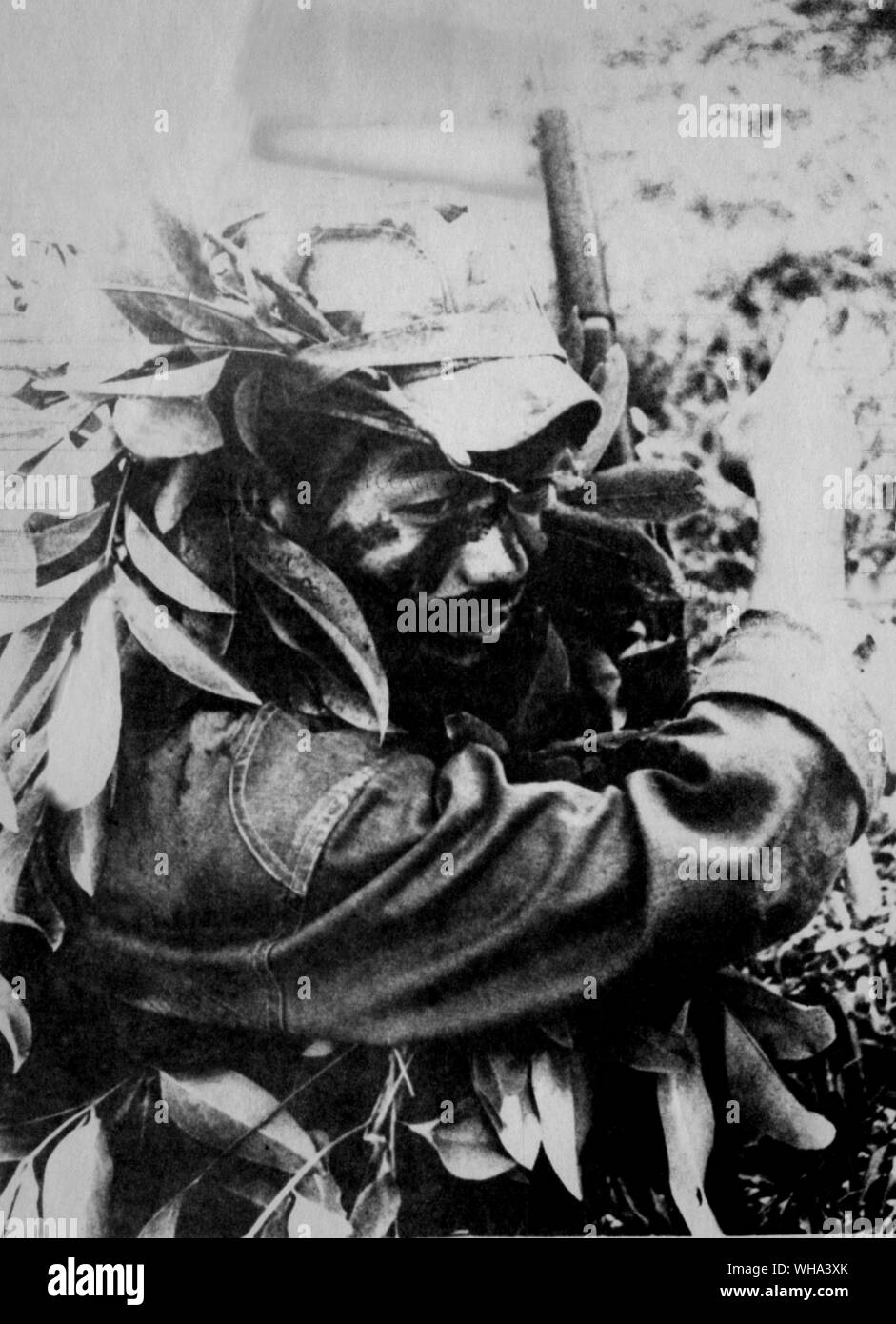 Jungle war in Laos: A Royal Laotian soldier, face blackened and headgear campouflaged with branches, moves into position to cover a jungle patrol. Stock Photo