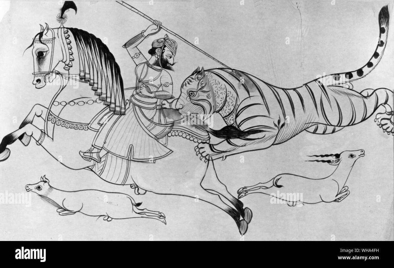 Indian ink drawing Kotah. Tiger . Stock Photo