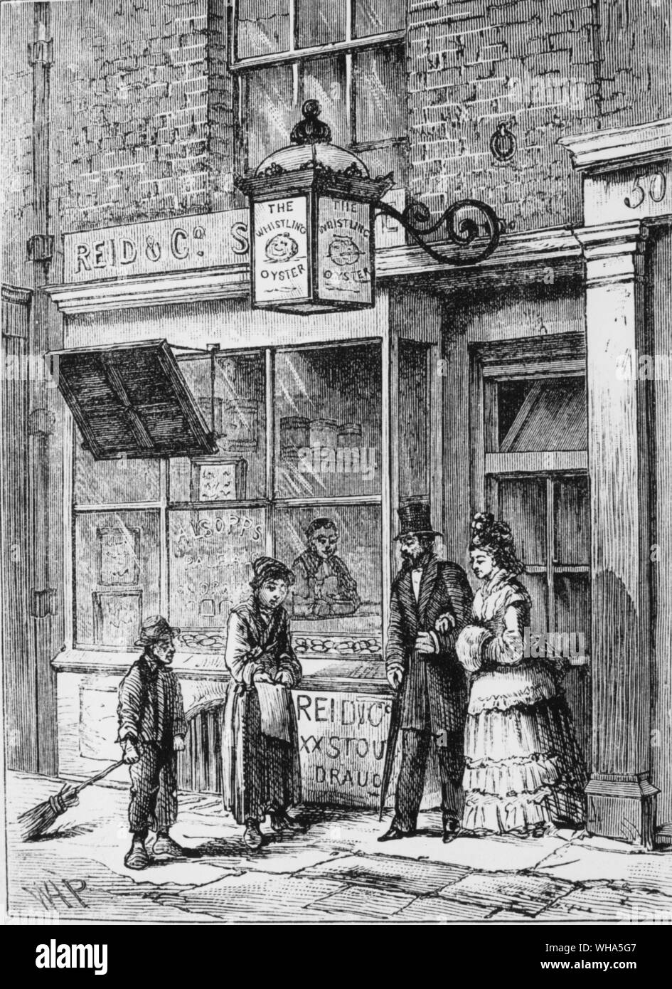 The Whistling Oyster Stock Photo Alamy