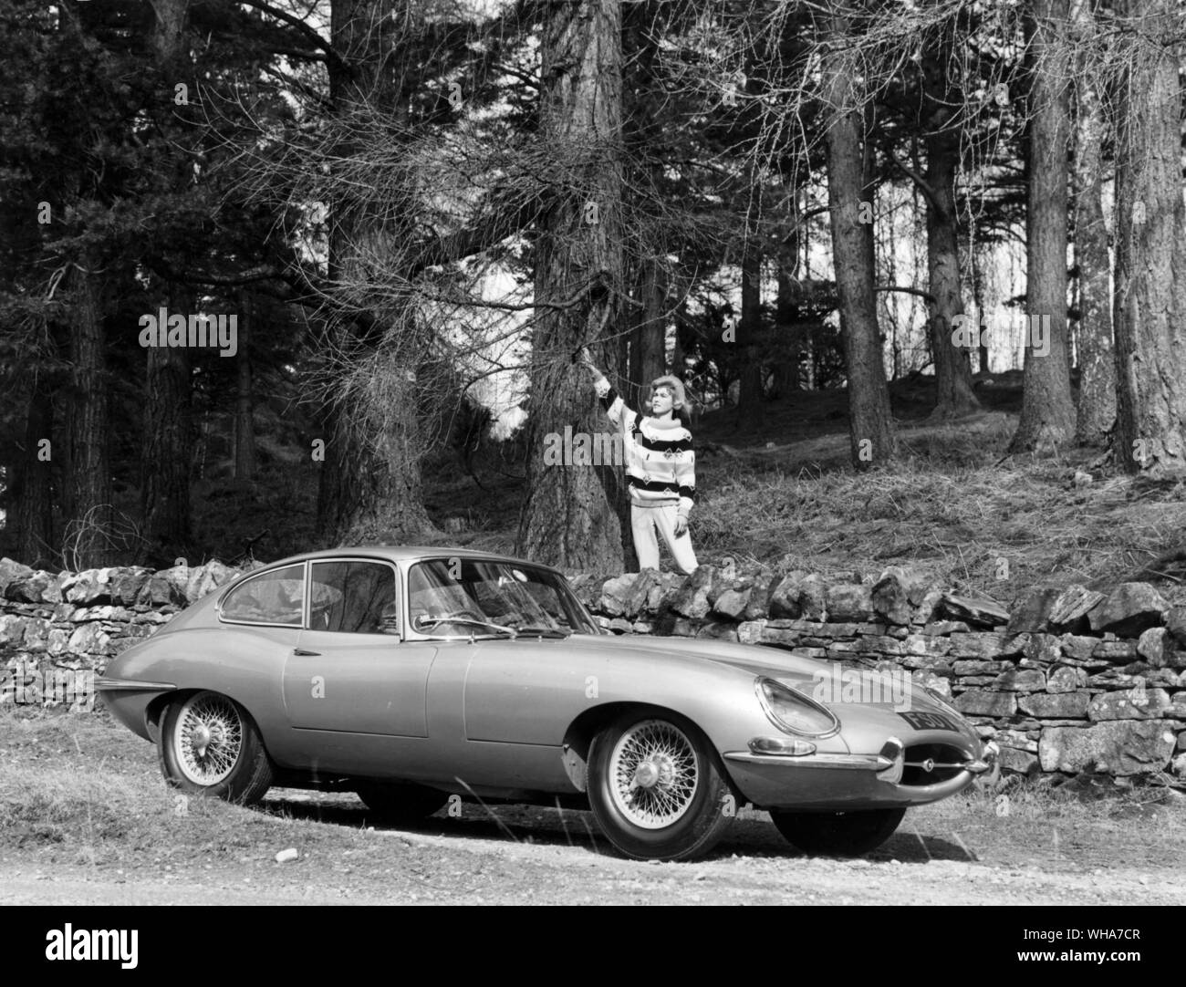 1962 Jaguar E-type Stock Photo