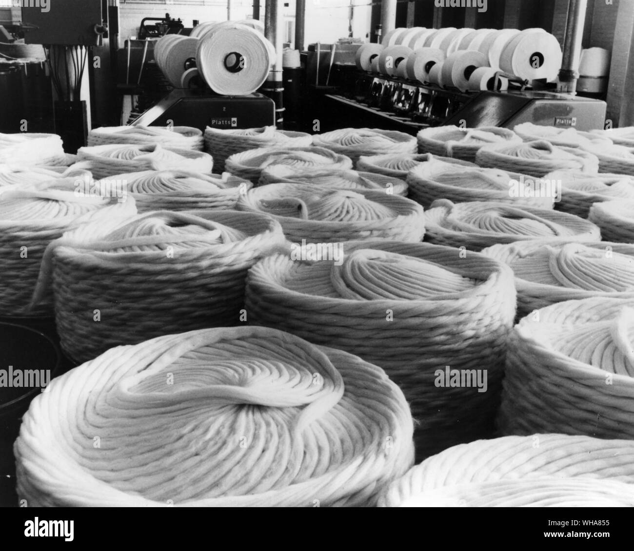 Cotton roving. International Institute of Cotton Stock Photo