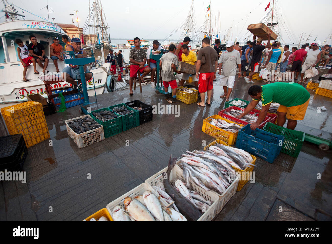 Brazilian fish market hi-res stock photography and images - Alamy