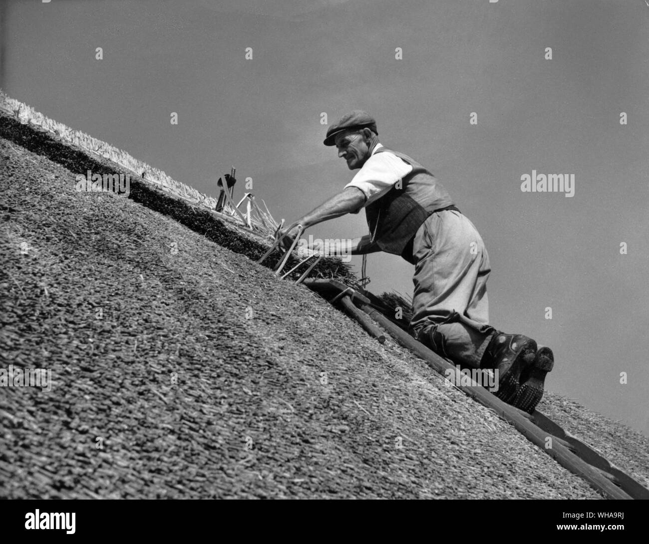 Thatcher on a roof using traditional tools Stock Photo