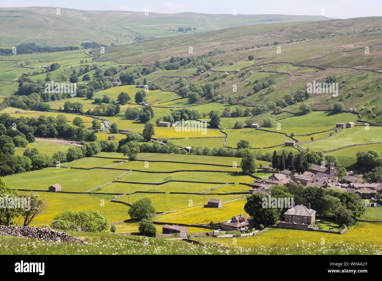 Hay meadows, Muker, Swaledale. Stock Photo